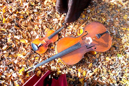 Firma na wesele: Violin- Cello.duet