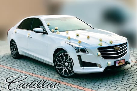 Firma na wesele: Cadillac